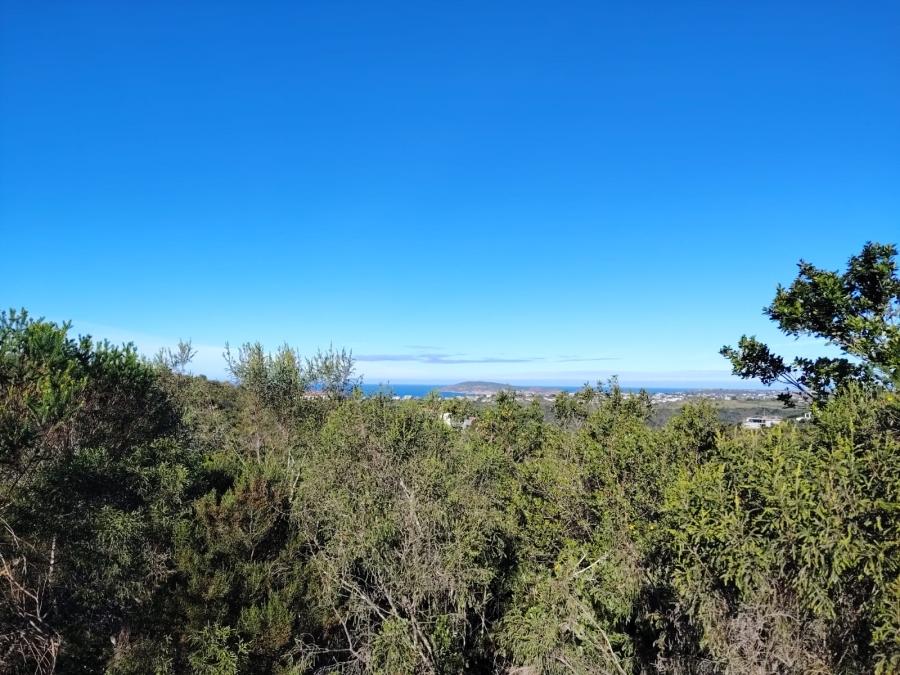 0 Bedroom Property for Sale in Schoongezicht Western Cape